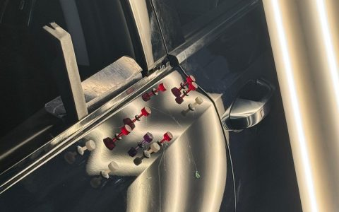 cdb8709b-5737-46b6-9581-37edc54674e7